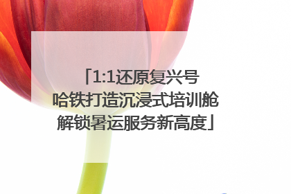 1:1还原复兴号 哈铁打造沉浸式培训舱解锁暑运服务新高度