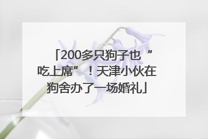 200多只狗子也“吃上席”！天津小伙在狗舍办了一场婚礼