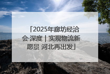 2025年廊坊经洽会·深度｜实现物流新愿景 河北再出发