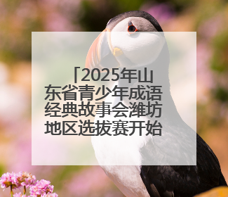 2025年山东省青少年成语经典故事会潍坊地区选拔赛开始报名！
