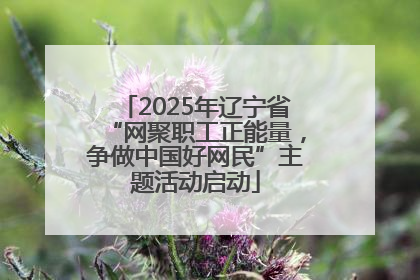 2025年辽宁省“网聚职工正能量，争做中国好网民”主题活动启动