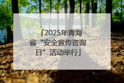 2025年青海省“安全宣传咨询日”活动举行