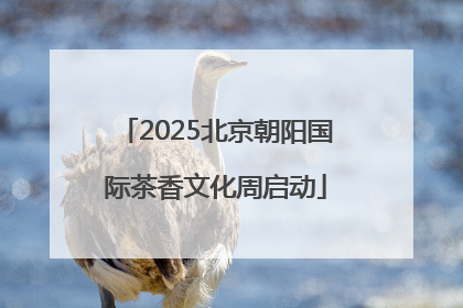 2025北京朝阳国际茶香文化周启动