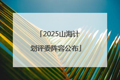 2025山海计划评委阵容公布