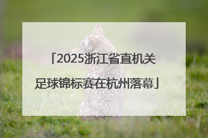 2025浙江省直机关足球锦标赛在杭州落幕