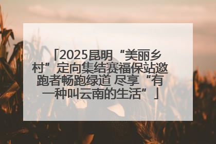 2025昆明“美丽乡村”定向集结赛福保站邀跑者畅跑绿道 尽享“有一种叫云南的生活”