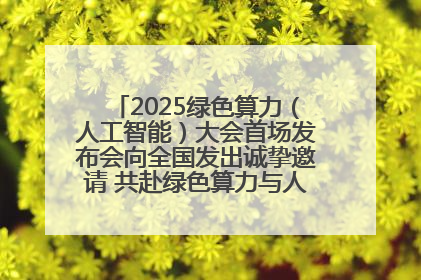 2025绿色算力（人工智能）大会首场发布会向全国发出诚挚邀请 共赴绿色算力与人工智能融合之约