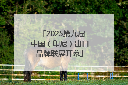 2025第九届中国（印尼）出口品牌联展开幕