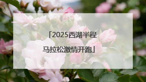 2025西湖半程马拉松激情开跑