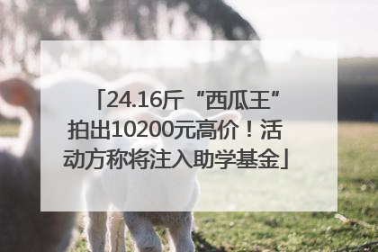 24.16斤“西瓜王”拍出10200元高价！活动方称将注入助学基金