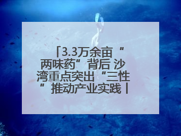 3.3万余亩“两味药”背后 沙湾重点突出“三性”推动产业实践丨新闻发布最前线