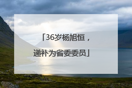 36岁杨旭恒，递补为省委委员