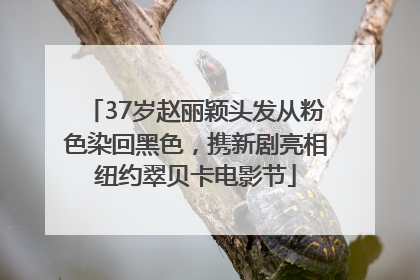 37岁赵丽颖头发从粉色染回黑色，携新剧亮相纽约翠贝卡电影节