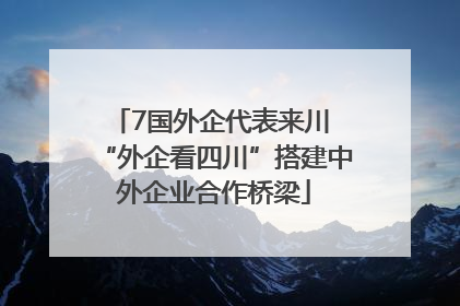 7国外企代表来川 “外企看四川”搭建中外企业合作桥梁