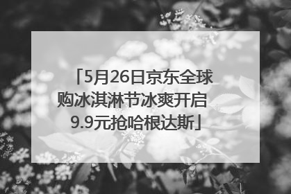 5月26日京东全球购冰淇淋节冰爽开启 9.9元抢哈根达斯