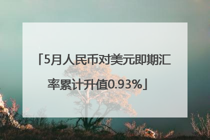 5月人民币对美元即期汇率累计升值0.93%