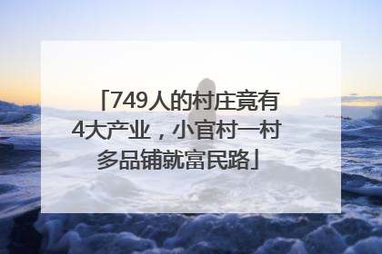 749人的村庄竟有4大产业，小官村一村多品铺就富民路
