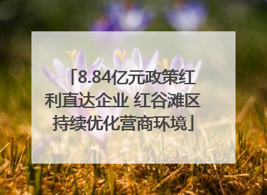 8.84亿元政策红利直达企业 红谷滩区持续优化营商环境