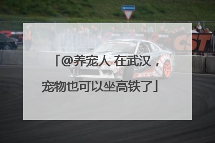 @养宠人 在武汉，宠物也可以坐高铁了